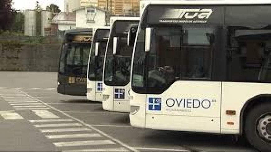 La aseguradora de la empresa municipal de autobuses (T.U.A) y el conductor del autobús resultaron condenados